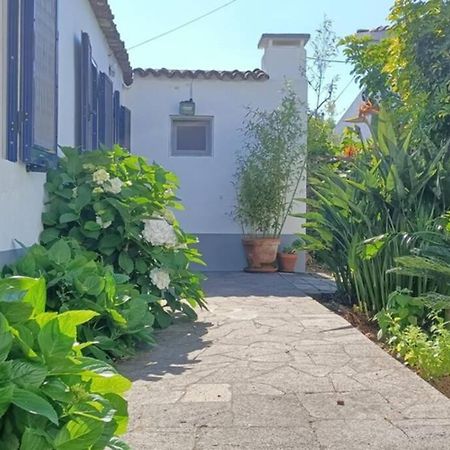 Casa Azores Zen Ribeira Grande Εξωτερικό φωτογραφία