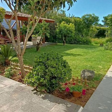Casa Azores Zen Ribeira Grande Εξωτερικό φωτογραφία