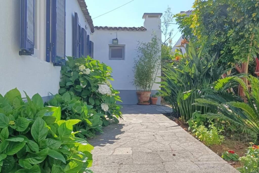 Casa Azores Zen Ribeira Grande Εξωτερικό φωτογραφία